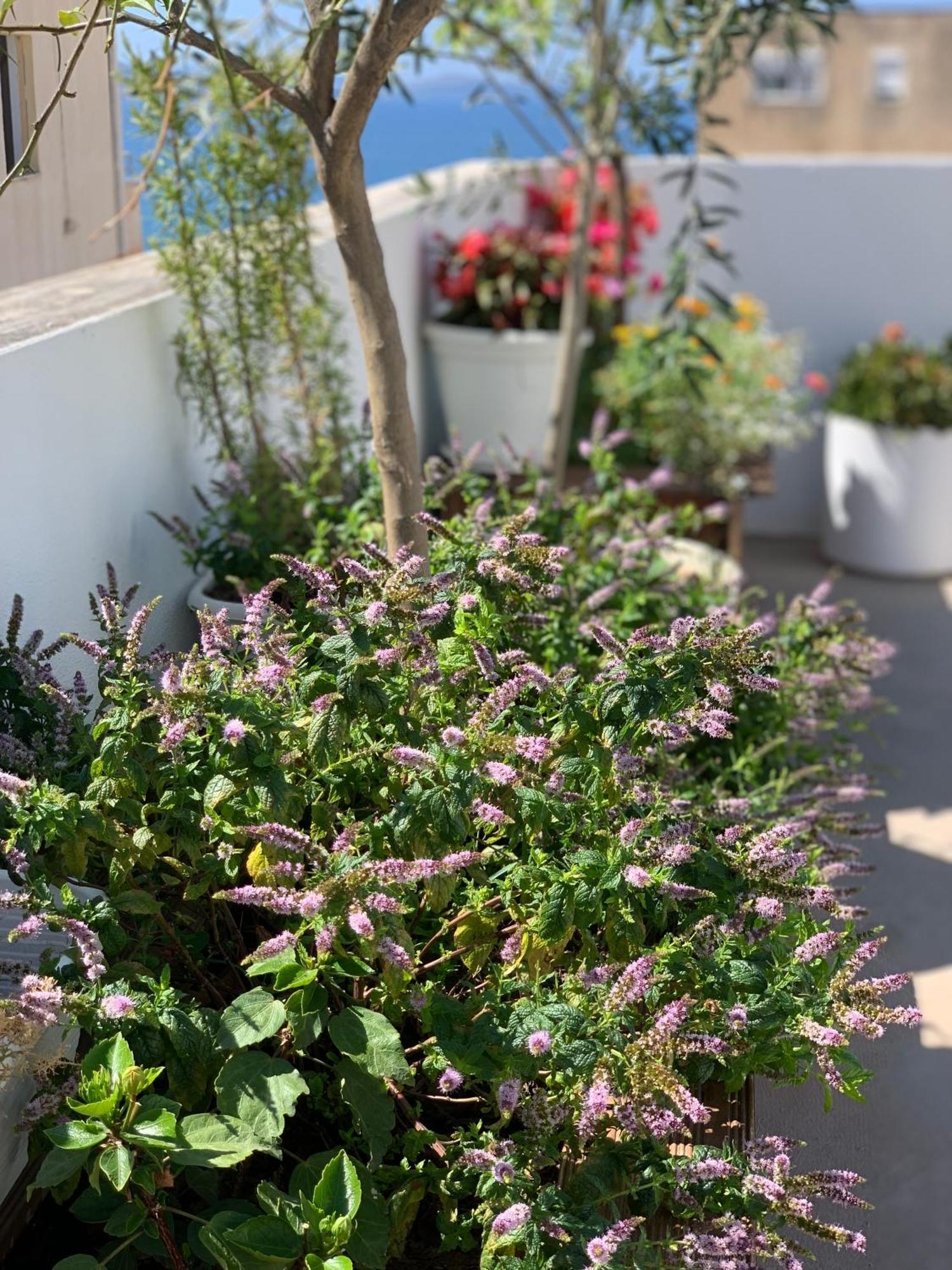 Dream Apartments Saranda Εξωτερικό φωτογραφία
